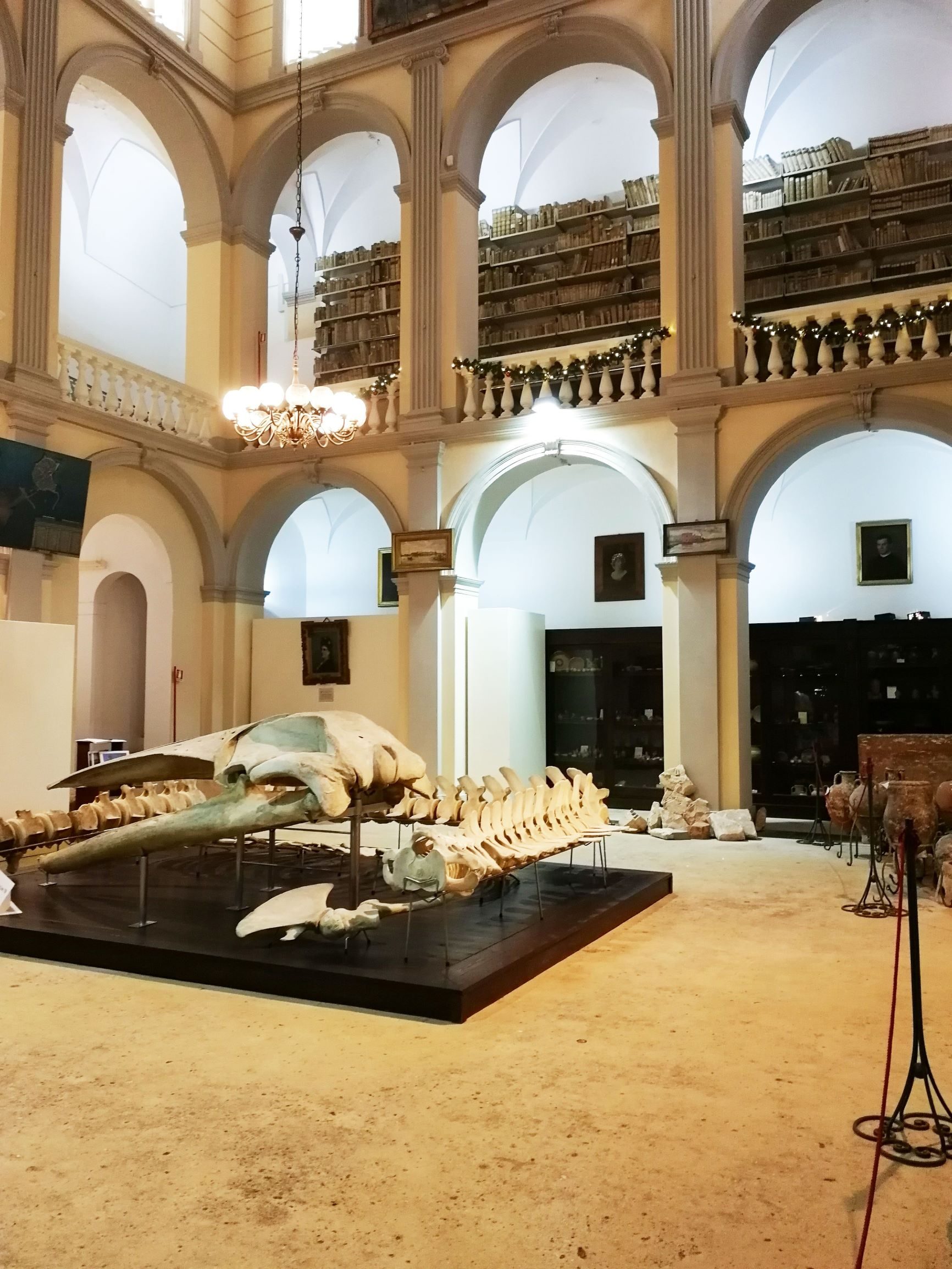 Emanuele Barba's Museum, Gallipoli (3).jpeg